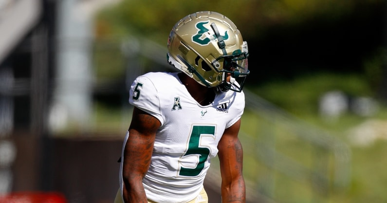 alt="Jimmy Horn Jr. NFL rookie with Carolina Panthers"